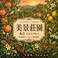 哥倫比亞 美景莊園 藝伎 啤酒酵母與 Mosto 厭氧發酵