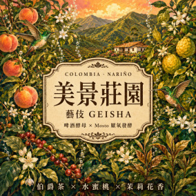 哥倫比亞 美景莊園 藝伎 啤酒酵母與 Mosto 厭氧發酵