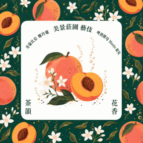 哥倫比亞 美景莊園 藝伎 啤酒酵母與 Mosto 厭氧發酵