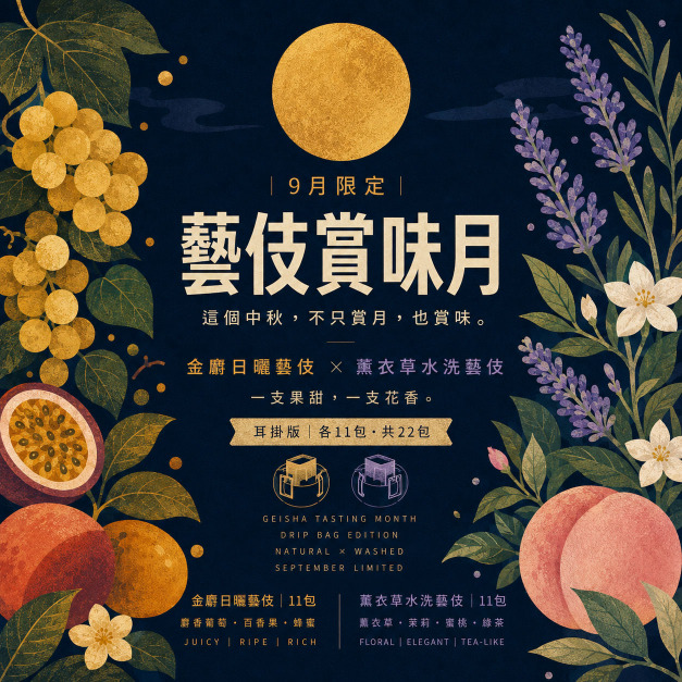 【9月限定｜藝伎賞味月・耳掛版】金麝日曬藝伎11入＋薰衣草水洗藝伎11入｜共22入