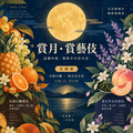 中秋限定｜賞月・賞藝伎耳掛組｜光韻日曬11入 &times; 薰衣草水洗11入｜共22入