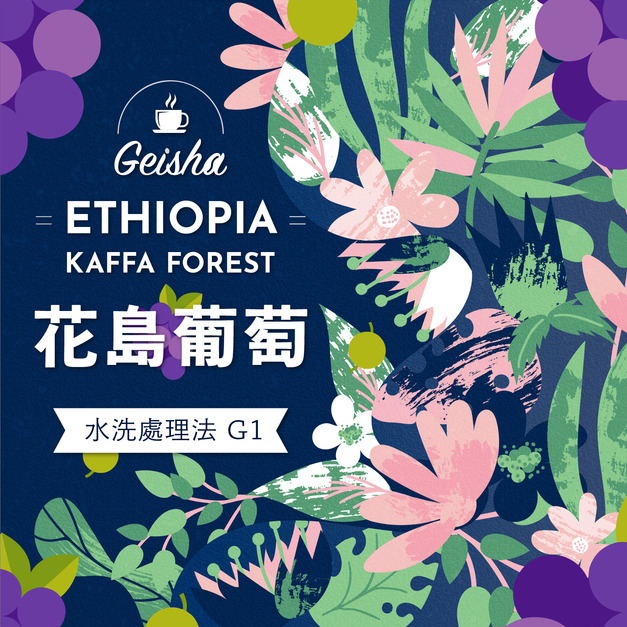 衣索比亞 卡法森林 花島葡萄 藝伎 水洗處理法 G1