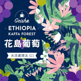 衣索比亞 卡法森林 花島葡萄 藝伎 水洗處理法 G1
