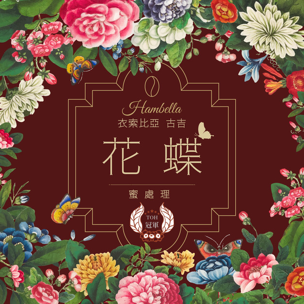 衣索比亞 谷吉 罕貝拉 花蝶 蜜處理 G1｜2026 TOH 冠軍