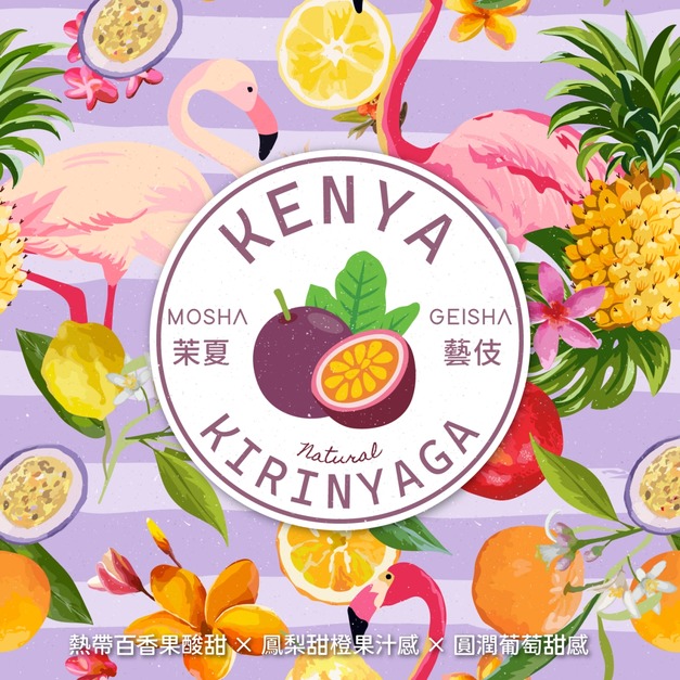 肯亞 奇里雅佳 茉夏藝伎 日曬處理法