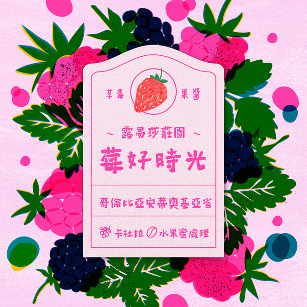 哥倫比亞 安蒂奧基亞省 露易莎莊園 莓好時光 水果蜜處理 