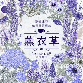 哥倫比亞 納里尼奧產區 薰衣草 水洗藝伎