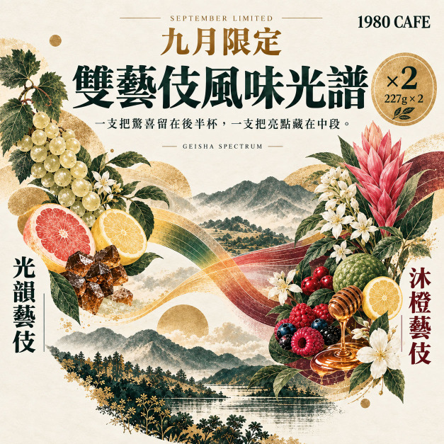 【9月限定｜雙藝伎風味光譜】光韻日曬藝伎 &times; 沐橙水洗藝伎｜227g &times; 2