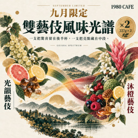 【9月限定｜雙藝伎風味光譜】光韻日曬藝伎 &times; 沐橙水洗藝伎｜227g &times; 2