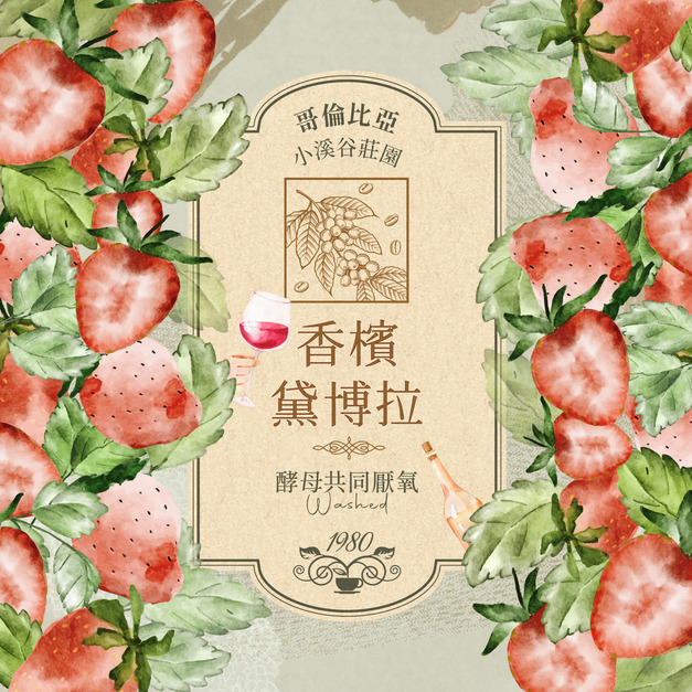 哥倫比亞 小溪谷莊園 香檳黛博拉 酵母共同厭氧 水洗