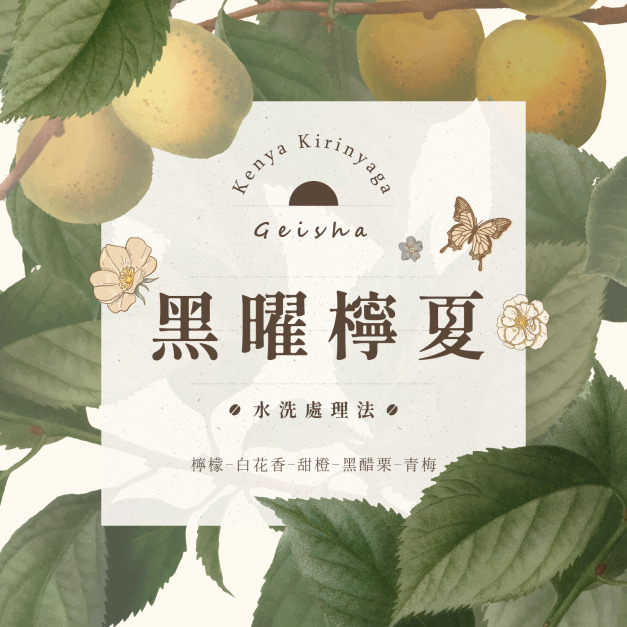 肯亞 奇里雅佳 黑曜檸夏 藝伎 水洗處理法