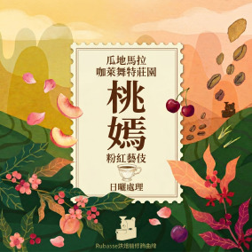 瓜地馬拉 咖萊舞特莊園 桃嫣 粉紅藝伎 日曬處理法 (100克)