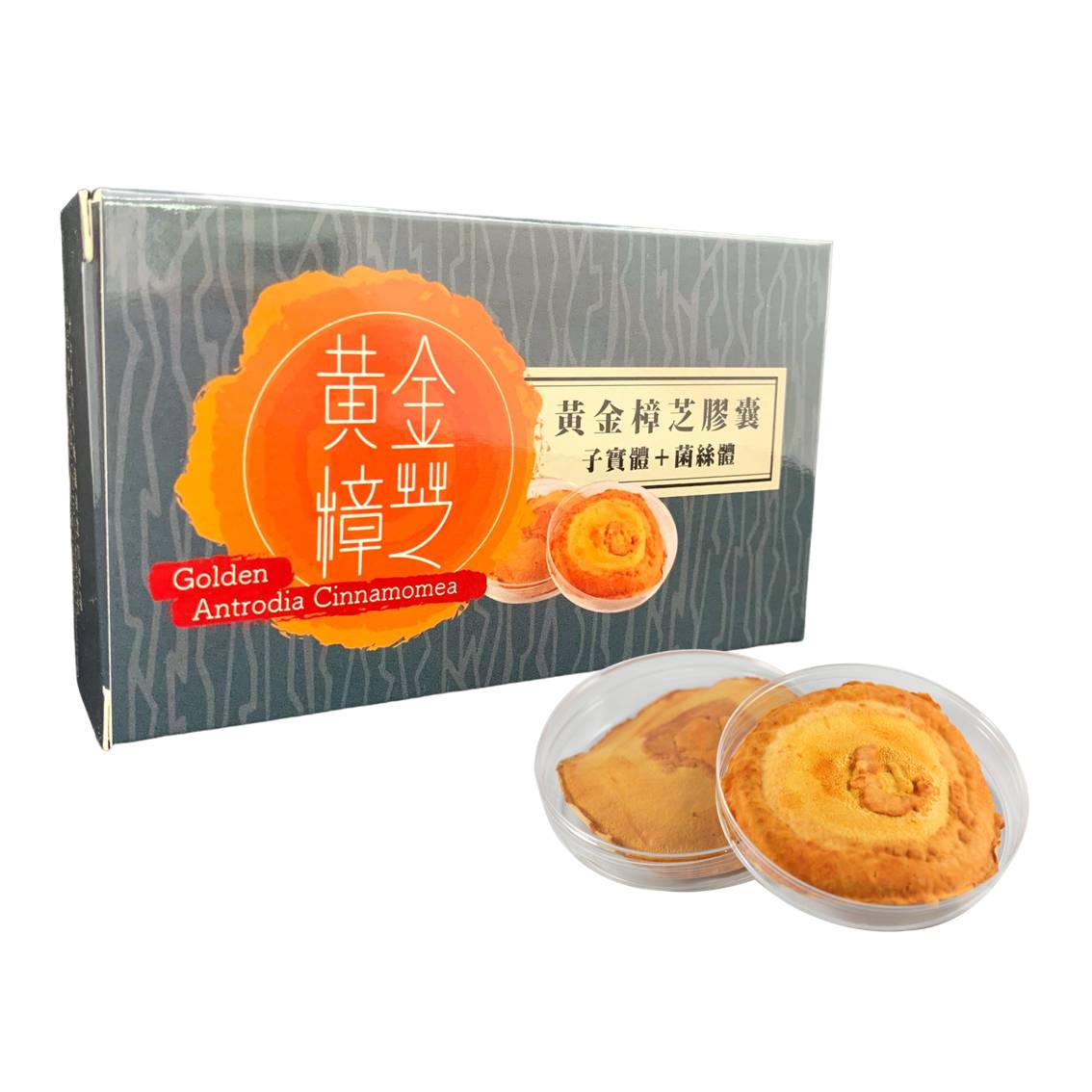 黃金樟芝膠囊