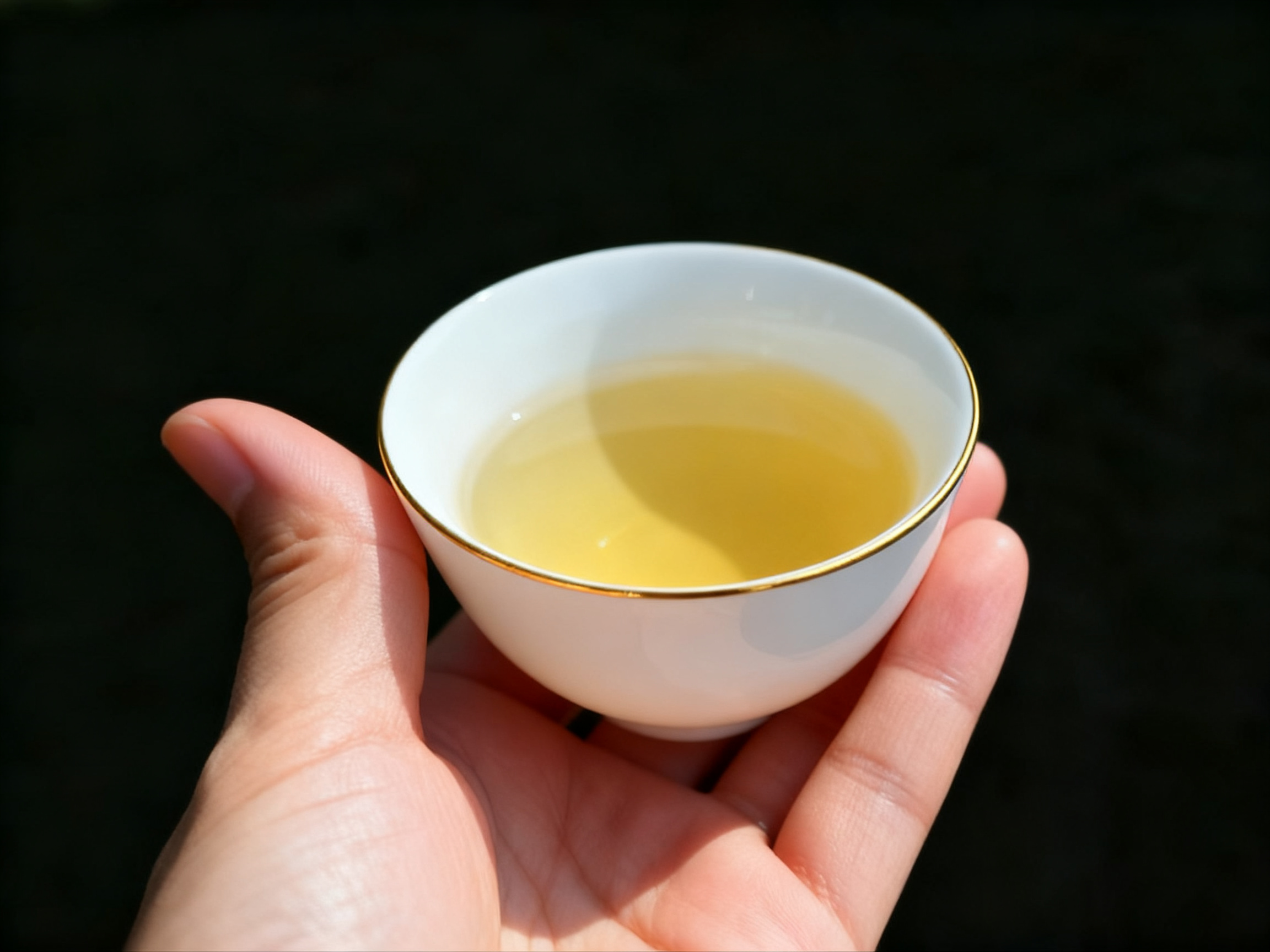 傳統手工製茶
