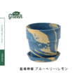 PLUSthegreen 日本環保花盆-藍莓檸檬