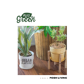PLUSthegreen 日本環保花盆-海洋_3
