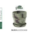PLUSthegreen 日本環保花盆-開心果可可