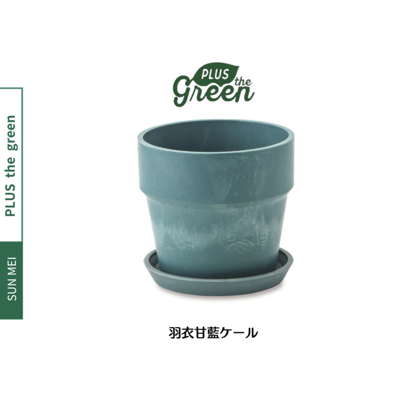 PLUSthegreen 日本環保花盆-羽衣甘藍