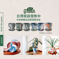 PLUSthegreen 日本環保花盆-牛奶胡蘿蔔_5