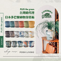 PLUSthegreen 日本環保花盆-牛奶黑醋栗_13