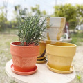 PLUSthegreen 日本環保花盆-檸檬_2
