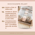 多肉植物專用土-2.5L_2