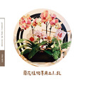 蘭花植物專用土-1.5L