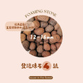 發泡煉石陶粒2~4號-2.5L_4