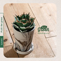 PLUSthegreen 日本環保直筒盆-牛奶可可_3