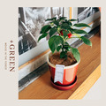 【POSH LIVING】Glossy Pot 冰裂感花盆陶盆- 淺灰色_6