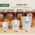 【POSH LIVING】Glossy Pot 冰裂感花盆陶盆- 橙杏色_9