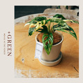 【POSH LIVING】Glossy Pot 冰裂感花盆陶盆- 雪白色_5