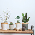 【POSH LIVING】Glossy Pot 冰裂感花盆陶盆- 橙杏色_3