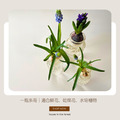 【POSH LIVING】日系玻璃花瓶｜高透設計｜乾燥花鮮花兩用｜22709_8