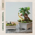 【POSH LIVING】Blueta Pot 霧金質感花器 室內擺飾 盆栽 鋁製花盆 花器 鋁製花盆 花器-64077C大款_8