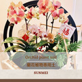 蘭花植物專用土-2.5L