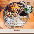 特選觀葉植物介質土-2.5L
