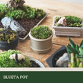 【POSH LIVING】Blueta Pot 霧金質感花器 室內擺飾 盆栽 鋁製花盆 花器 鋁製花盆 花器-64067A款_1