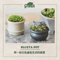 【POSH LIVING】Blueta Pot 霧金質感花器 室內擺飾 盆栽 鋁製花盆 花器 鋁製花盆 花器-64088E小款_19