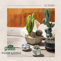 【POSH LIVING】Blueta Pot 霧金質感花器 室內擺飾 盆栽 鋁製花盆 花器 鋁製花盆 花器-64070B大款_13