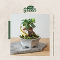 【POSH LIVING】Blueta Pot 霧金質感花器 室內擺飾 盆栽 鋁製花盆 花器 鋁製花盆 花器-64072B小款_11
