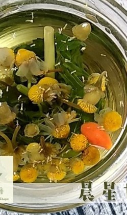 芥菜種小花園_晨星甘菊新鮮花草茶