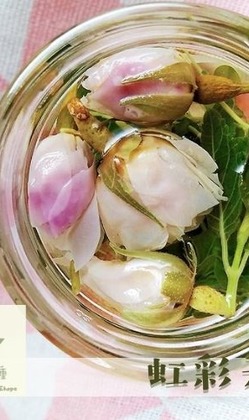 芥菜種小花園_虹彩天空新鮮花草茶