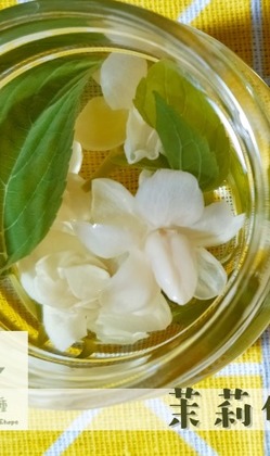 芥菜種小花園_苿莉佳人新鮮花草茶