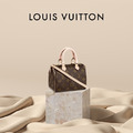 Louis vuitton speedy 25波士頓包