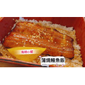 日式蒲燒白鰻魚_1