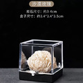 【天然水晶礦石標本收藏盒】_10