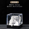 【天然水晶礦石標本收藏盒】_5