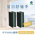 【買2組，現折8百】中宇 - CEYS0600A濾網 (一組2入)