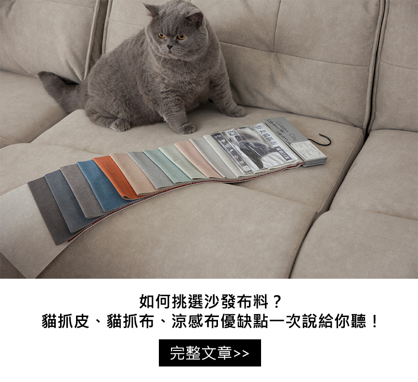 貓抓皮、貓抓布怎麼挑